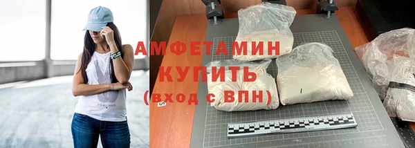 твердый Инсар
