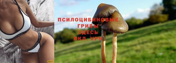 марки lsd Инта
