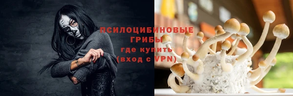 круглые Пересвет