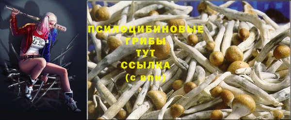 твердый Инсар