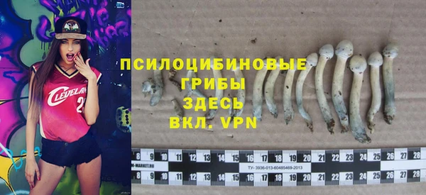 твердый Инсар