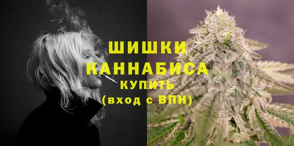 твердый Инсар